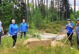&laquo;Молодая Гвардия Единой России&raquo; продолжают преображать зеленые зоны поселка Чагода
