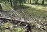Сотрудники ФСБ ликвидировали крупную нарколабораторию в Череповцеком округе 