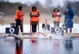 Центр зимнего плавания &laquo;Лисицино&raquo;