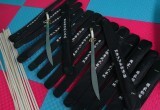 Еще шесть школ Вологды получили спортивное оборудование для занятий ушу по программе губернатора