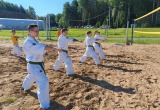 Клуб карате &laquo;Рёсинкай Кан&raquo;