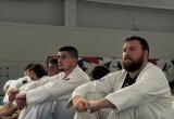 Федерация джиу-джитсу Вологодской области