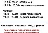 Спортивная школа по ледовым видам спорта
