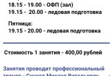 Спортивная школа по ледовым видам спорта