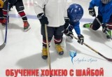 Спортивная школа по ледовым видам спорта