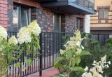 Сад, который не засыпает зимой: в ЖК &laquo;Чили&raquo; началось озеленение по авторскому проекту