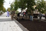 К концу сентября вологжане смогут прогуляться по благоустроенной аллее на улице Мира