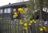 Двое жителей села Никольское переехали туда из-за любви к Рубцову