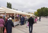 Более 7 тонн картофеля реализовали вологодские фермеры на ярмарке &laquo;Дары осени&raquo;