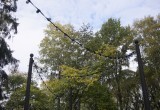 Подробностями о текущем благоустройстве Кремлёвского сада поделились специалисты 