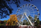 Колесо обозрения в парке Ветеранов в Вологде заработает в начале октября