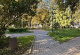 В Вологде приступили к благоустройству сквера у Театра юного зрителя 