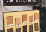 В Вологде открылся Ботанический музей