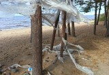 Туристы убивают берег Онежского озера горами мусора