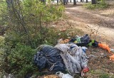 Туристы убивают берег Онежского озера горами мусора