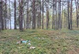 Туристы убивают берег Онежского озера горами мусора