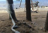 Туристы убивают берег Онежского озера горами мусора