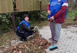 Молодогвардейцы Сокола привели в порядок памятное место