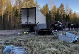 В Великоустюгском округе произошло смертельное ДТП