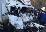 Стали известны подробности жуткого смертельного ДТП у деревни Красавино